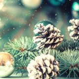 Christmas Eve & Christmas December 24th & 25th