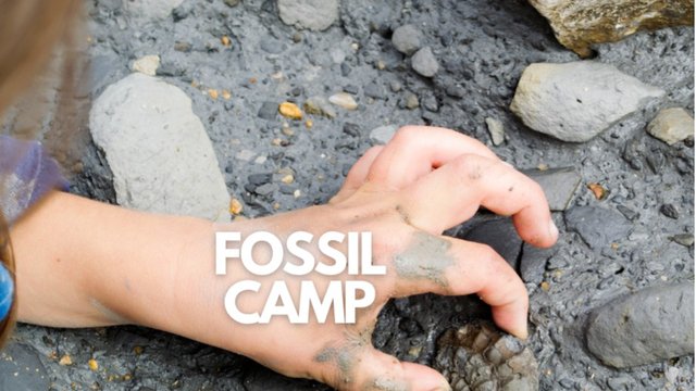 Key image for: Fossil Camp July 21st-23rd