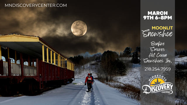 Key image for: Moonlit Snowshoe Hike March 9th 